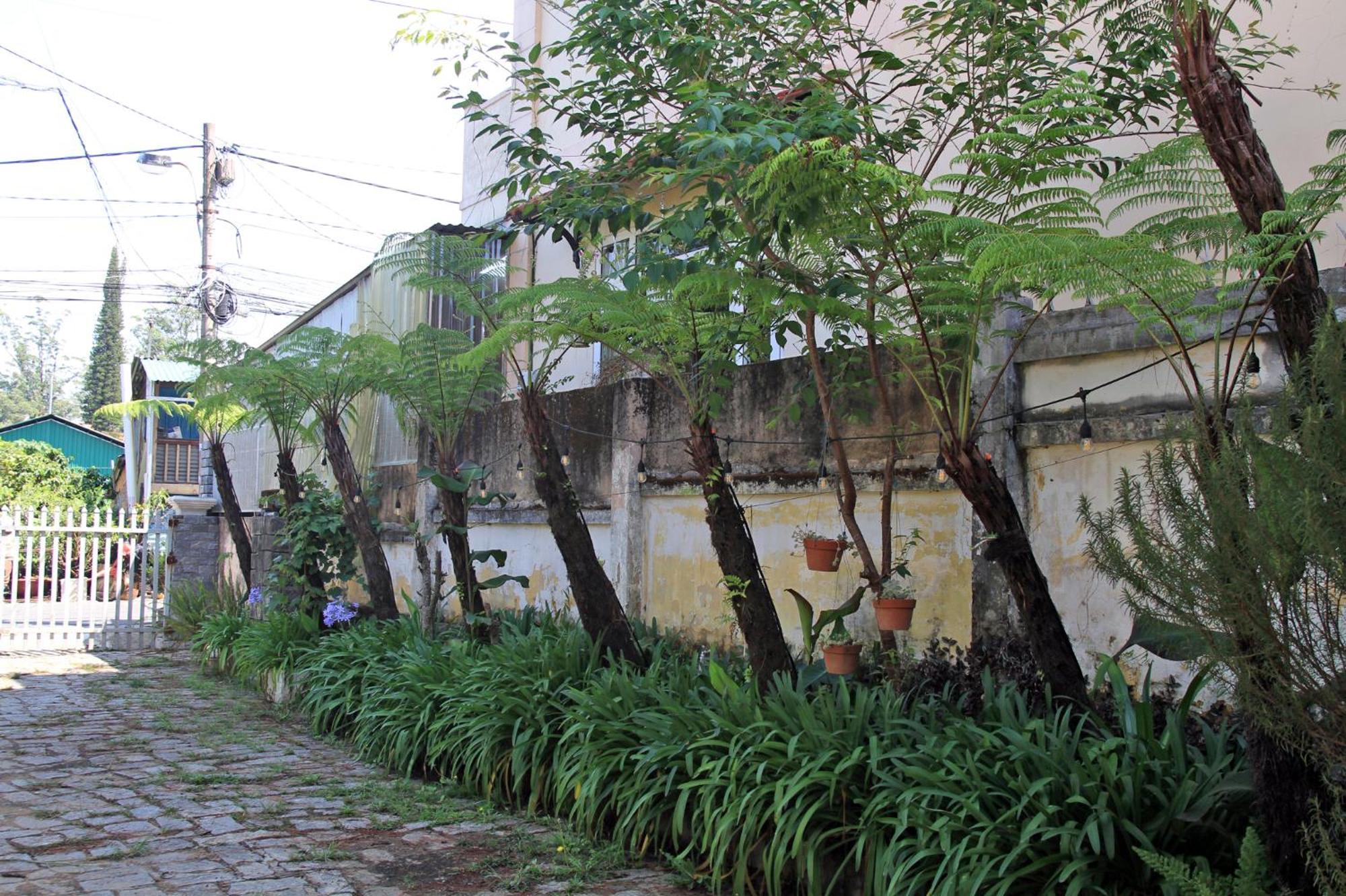 homestay.nhatuiminh Đà Lạt Ngoại thất bức ảnh
